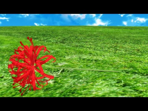 【MMD x SIS x OC】Manjushage - 曼珠沙華 (Red spider lily) นามแห่งฮิกันบานะ 【TH/JP lyrics 】