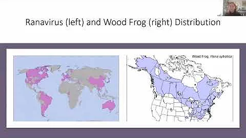 THS: Herpetology from Home #1 (with Meghan Ward, B...
