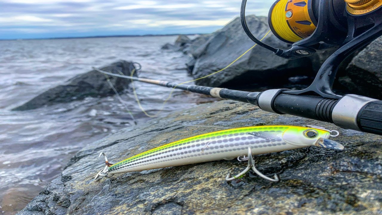 Striped Bass Fishing with the YOZURI Hydro Minnow !!! 