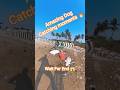 Ultimate Dog Catching #dog #dogwithpublicsafety #ytviral #shorts #ytshorts #pets