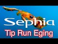 ● TIP RUN EGING Techniques in Rompin●
