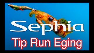 ● TIP RUN EGING Techniques in Rompin●