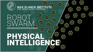 Microrobot collectives display versatile movement patterns