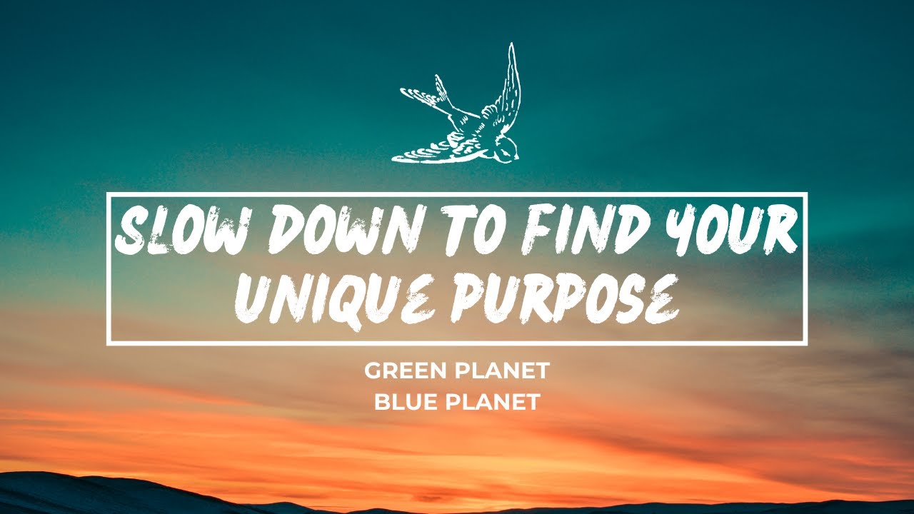 Slow Down To Find Your Unique Purpose YouTube slow-down-to-find-your-unique-purpose-youtube