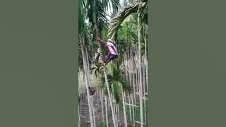Nyali kuat