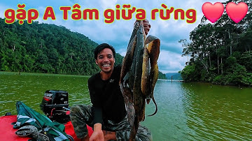 Vào RỪNG Thả câu cá chạch kiểu này toàn chạch to Vô tình gặp a TÂM giữa rừng ❤️❤️ / 48h Câu Cá