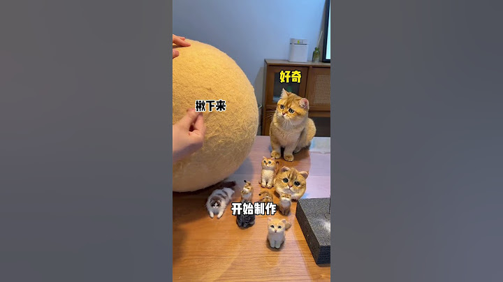 【牛奶是只猫】羊毛毡又增加两个，大家觉得哪个好看呢...