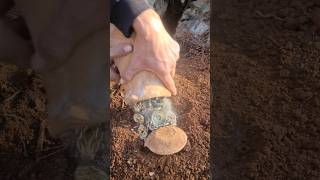 treasure Hunter #gold #adventure #metaldetecting #satisfying #nature #shorts