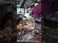 Огромные казаны и лучший плов Ташкента 🔥