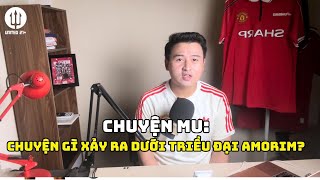#3 CHUYỆN MU: AMORIM ĐÃ LÀM GÌ TẠI MU? SESKO ĐẾN NHÀ HÁT Ư?