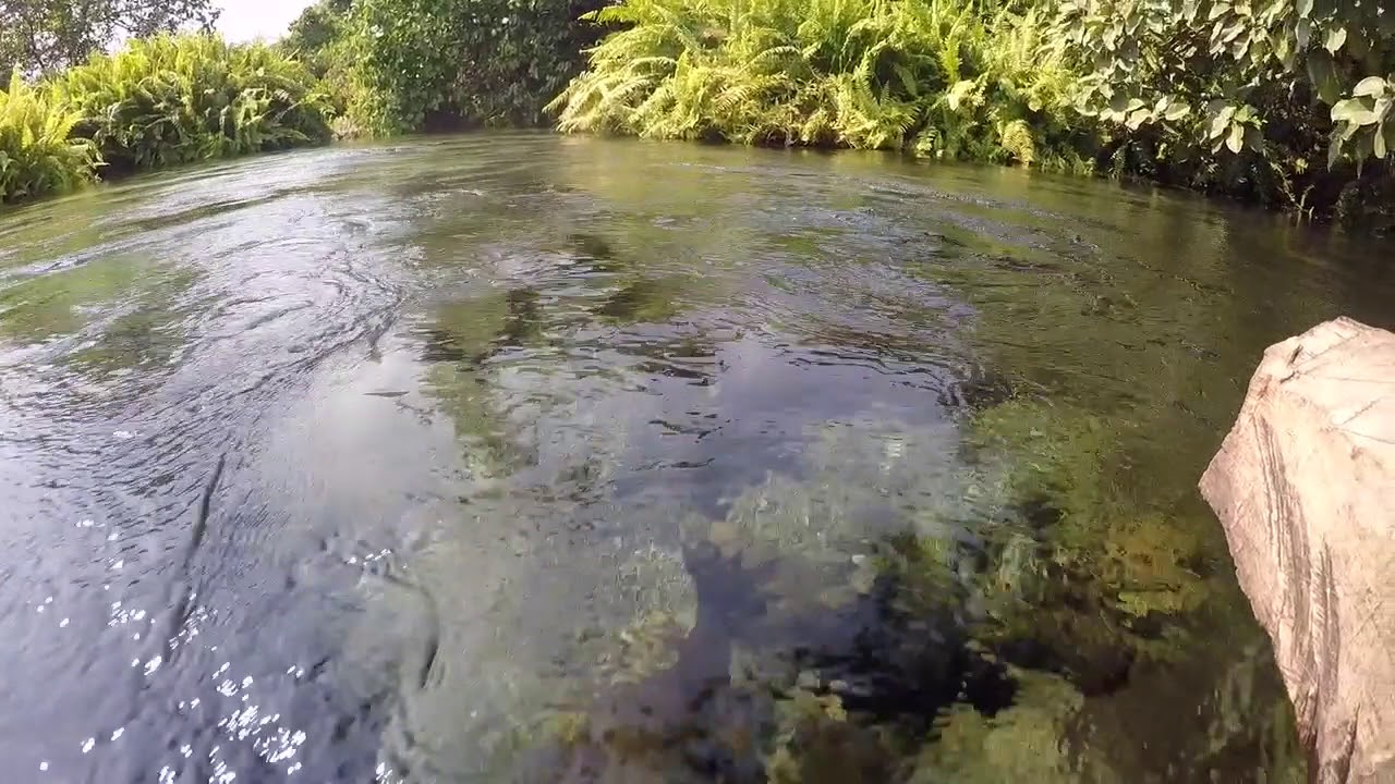 Natural spring in #lake Fwa