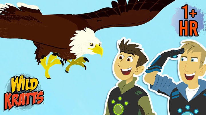 Epic Eagle Adventures | National Save the Eagles Day (Jan 10) | Wild Kratts