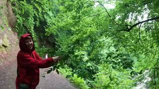 ПРогулки по Сочи Змейковские водопады после дождя