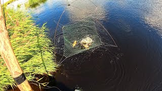 видео: УХ-ТЫ!!! ТОЛЬКО ЗАКИНУЛ и СРАЗУ ЕСТЬ!!! ПОДКИЛОШНЫЕ ГИБРИДЫ ПРУТ ПАЧКАМИ! Рыбалка на паук- подъёмник картинка: УХ-ТЫ!!! ТОЛЬКО ЗАКИНУЛ и СРАЗУ ЕСТЬ!!! ПОДКИЛОШНЫЕ ГИБРИДЫ ПРУТ ПАЧКАМИ! Рыбалка на паук- подъёмник