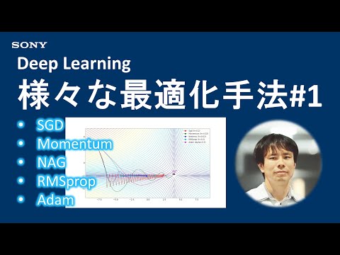 Deep Learning精度向上テクニック：様々な最適化手法 #1