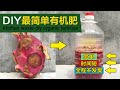 自制简单、快速、不发臭的有机肥方法｜DIY-the method of organic fertilizer without stink