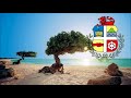 National Anthem of Aruba - Aruba Dushi Tera [ENG subs]