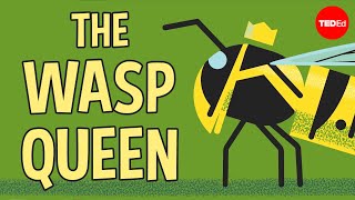 licking bees and pulping trees the reign of a wasp queen kenny coogan