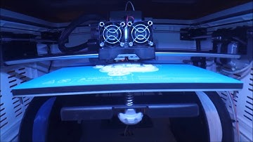 Flashforge Dreamer Demo