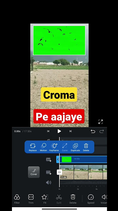 Caroma Effect VN Editor App | Apni Video me green screen kaise hataye | How To Apply Green Screen 🟩