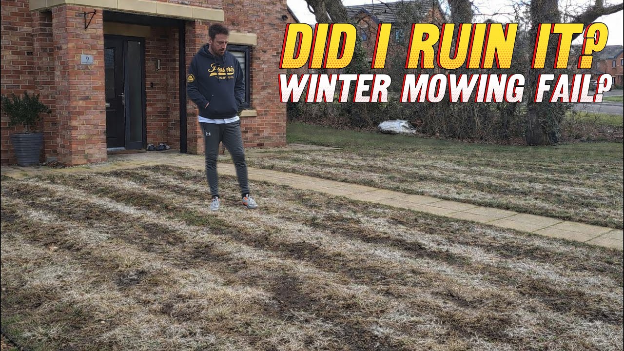 Я скосил газон в январе... Вот почему это нормально (и что я буду использовать в 2026 году!)