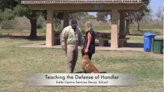 Delta Canine Services, Decoy Training, Decoy School