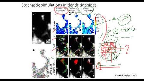 Stochastic simulations  at super-resolution