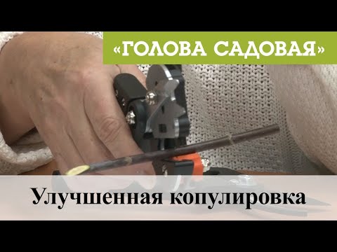 Голова садовая - Улучшенная копулировка