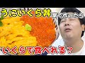 家で【うにいくら丼】作ったら”激安”で食べれるんじゃね？