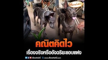 คณิตคิดไว เรื่องจริงหรืออัจฉริยะแอบแฝง