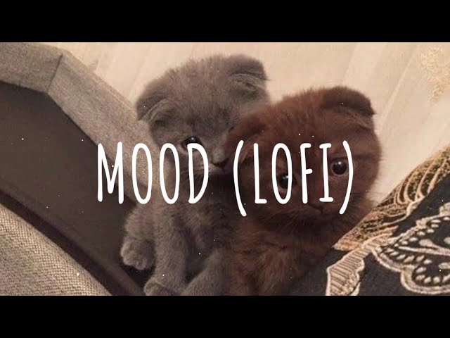 Mood (lofi) - feat. Salem Ilese // Vietsub + Lyric class=