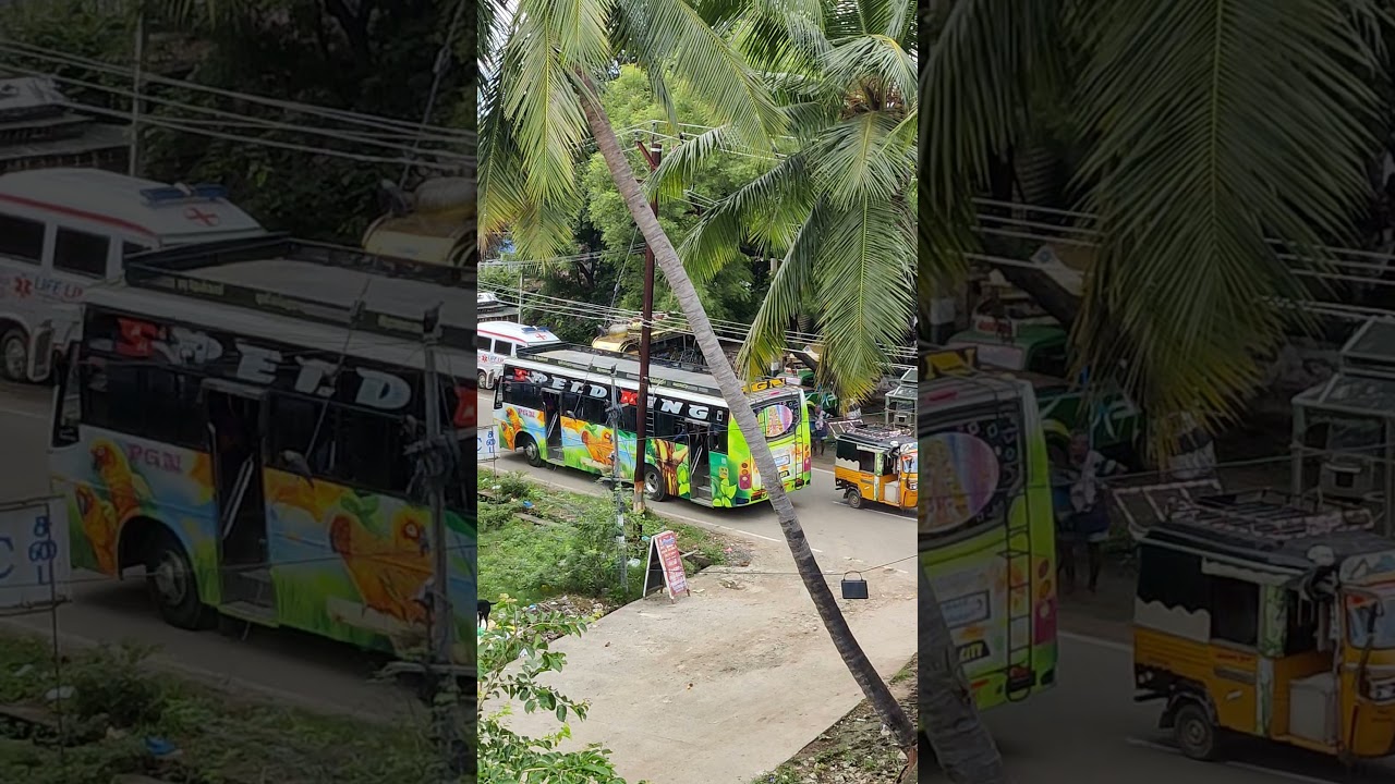 Vathirairuppu To Tenkasi PGN Bus Service Srivilliputhur Rajapalayam vathirairuppu-to-tenkasi-pgn-bus-service-srivilliputhur-rajapalayam