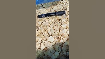 dehydrated garlic flakes export to Europe