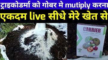 how to multiply tricoderma | ट्राइकोडर्मा को मल्टीप्लाई कैसे करे |