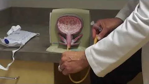How a Bladder Catheter Works
