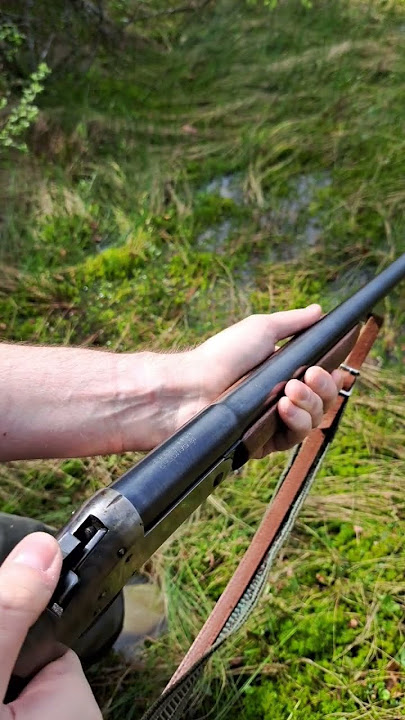 Single shot 12 gauge break action shotgun #old #shorts #youtubeshorts