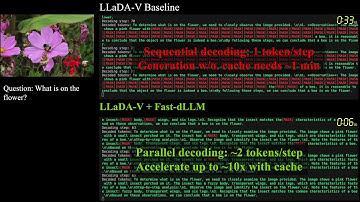 Fast-dLLM multimodal inference demo