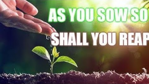 STD 4 M.Sc (Chap - 5) As you sow, Shall you reap - By Ms. Anita Mishra