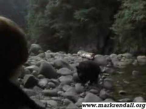 Mark Rendall in Spirit Bear - clip 1