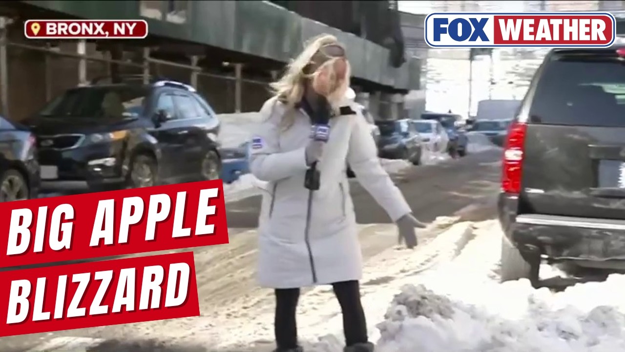 New York City Boroughs Cleaning Up After Historic Blizzard