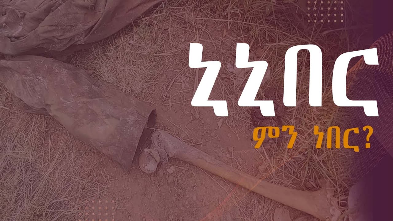 ኒኒበር የሆነው ምን’ነበር?