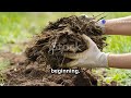 The Clever Way Smart Gardeners Make Amazing Soil