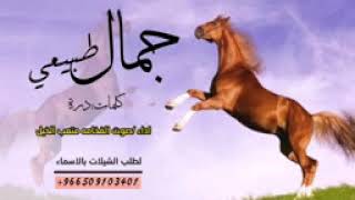 افخم شيله رقص للبنات جماله طبيعي كلمات درة اداء صوت متعب الخيل لطلب 0537106072