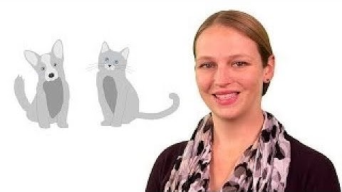 Inleiding tot Deep Learning - Machine Learning versus Deep Learning