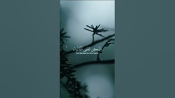 Quran | قران.اذكر الله| سورة الحج الاية 46-47 القارئ ياسر الدوسري #قران #اكتب_شي_توجر_عليه