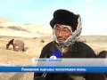 Памирские кыргызы: холостяцкая жизнь