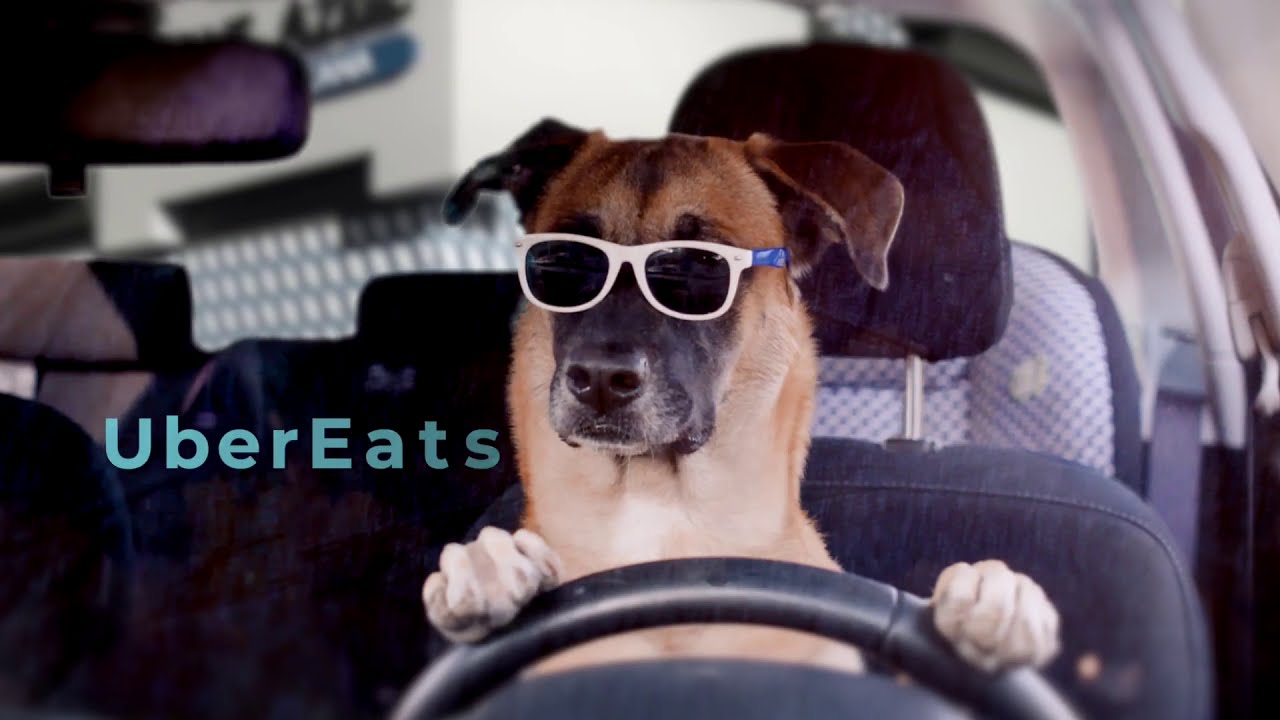 Agave Azul Cocina Mexicana: Winter Park, Winter Springs, Windermere, Orlando