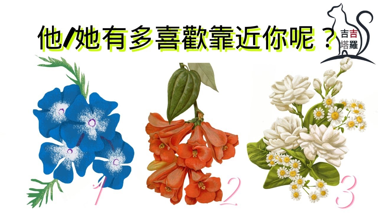 ❤️塔羅占卜 | 他/她有多喜歡靠近你呢? | 選個當下最吸引您的美麗花圖 (Timeless) 【#吉吉406】