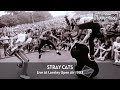 Capture de la vidéo Stray Cats - Live At Rockpalast 1983 (Full Concert Video)