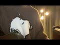 NAVY / 上野大樹 弾き語りcover